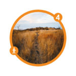 activite_savane